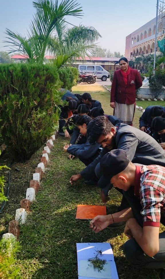 Planting trees in school